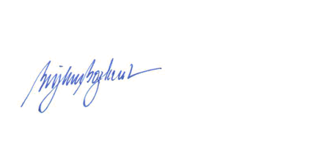 Biyken Bozkurt Signature