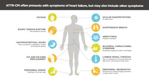 ATTR-CM Symptoms graphic