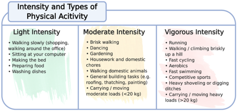 Graphic describing levels of physical activity