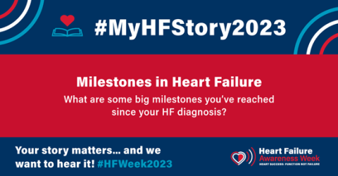 MyHFStory Daily Theme 2.17