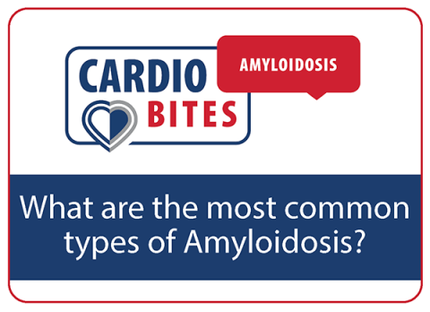 Cardio Bites Amyloidosis Video 3