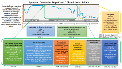 HFSA Scientific Statement: Update on Device Based Therapies in Heart Failure Figure 1