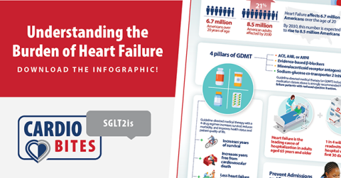 CardioBites SGLT2is Infographic