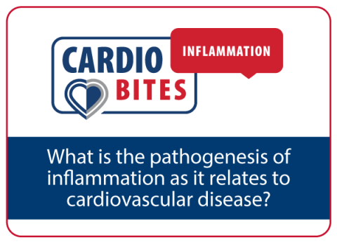 CardioBites Inflammation Video 3