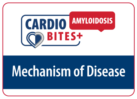 CardioBites+ Amyloidosis