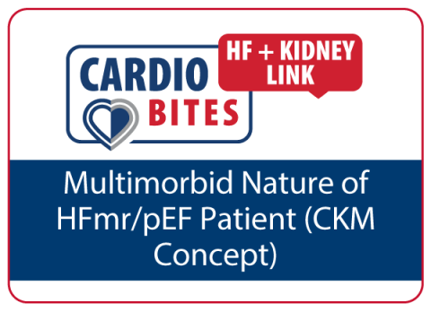 CardioBites HF-Kidney Landing Page Tile 4