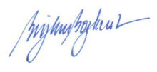 Biykem Bozkurt signature